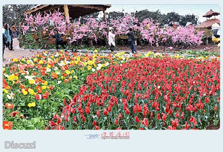 漫花庄园——26.jpg