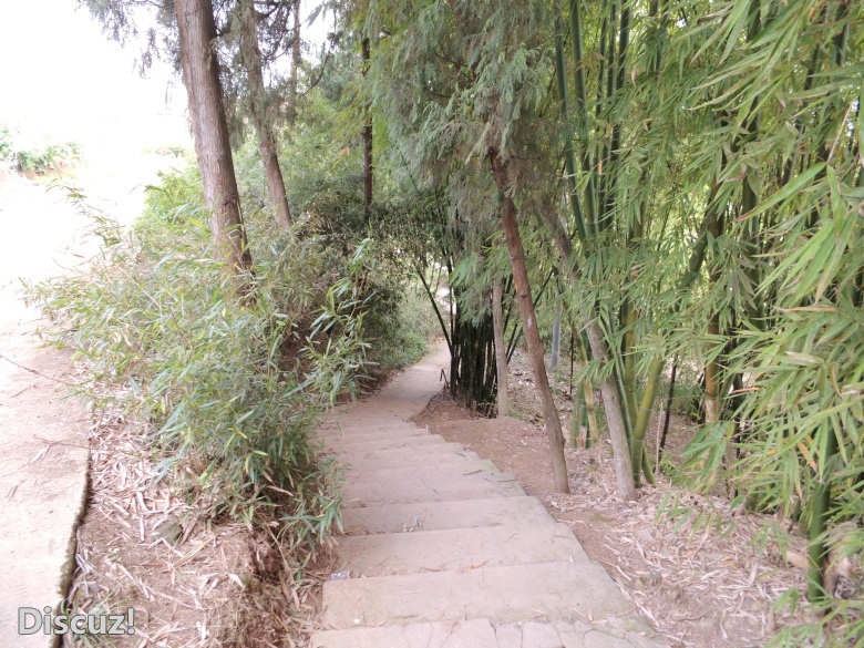 DSCI4808.jpg