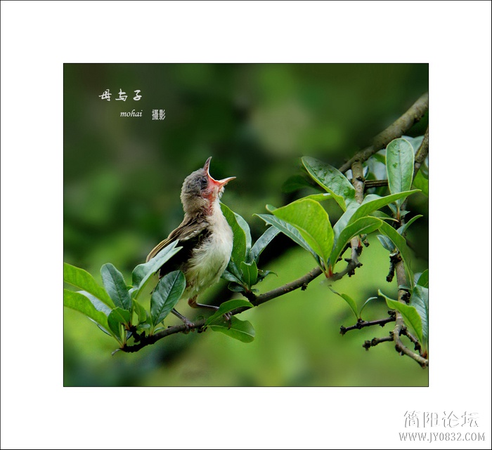 DSC09380--0.jpg