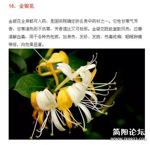 360截图20160509000345000.jpg