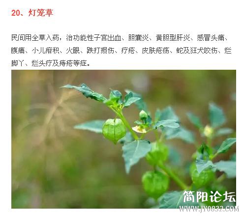 360截图20160509000718984.jpg