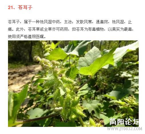 360截图20160509000729796.jpg