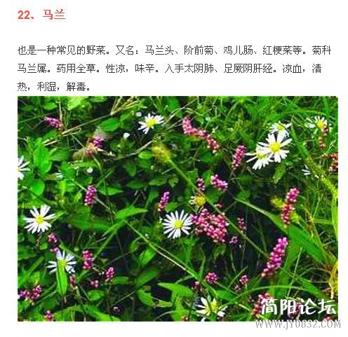 360截图20160509000741718.jpg