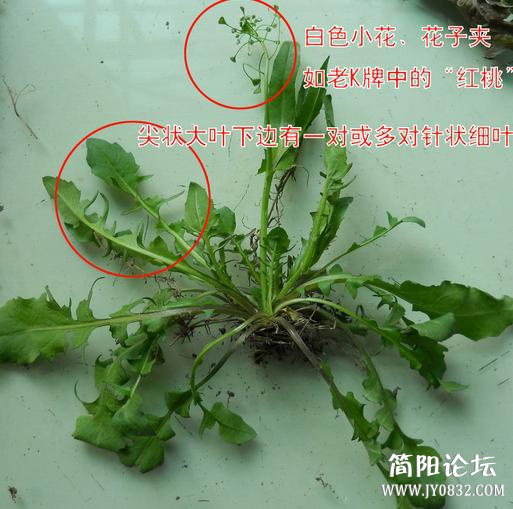360截图20160509151842281.jpg