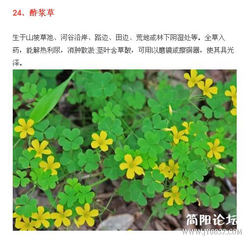 360截图20160509001047828.jpg