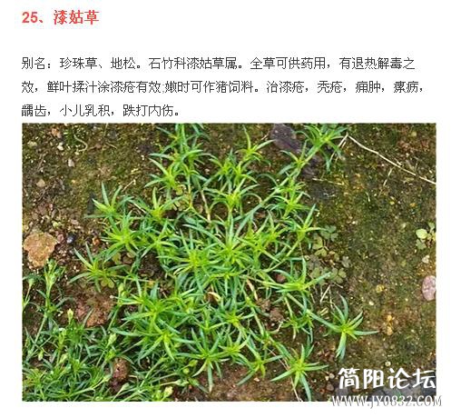 360截图20160509001059796.jpg