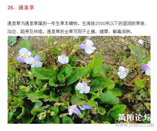 360截图20160509001111671.jpg
