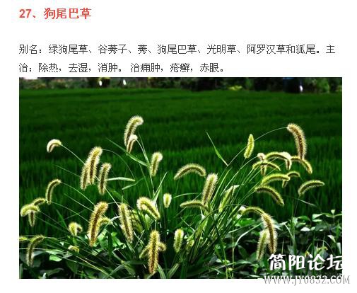 360截图20160509001122593.jpg