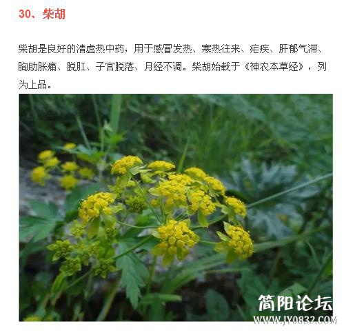 360截图20160509001201531.jpg