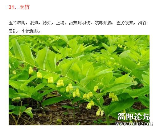 360截图20160509001211984.jpg