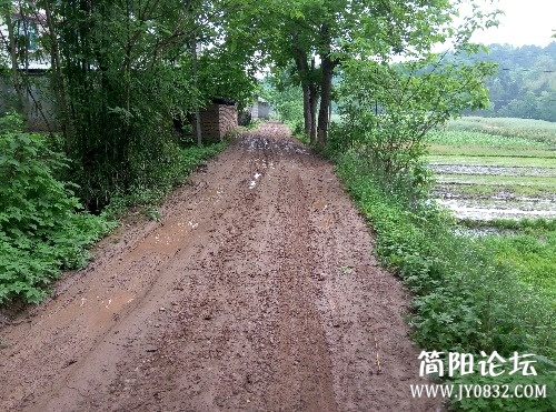 P60422-163909.jpg