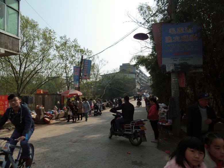DSCI4481.jpg