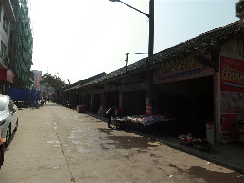 DSCI4495.jpg