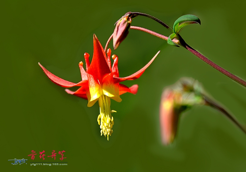 短信续集——08.JPG