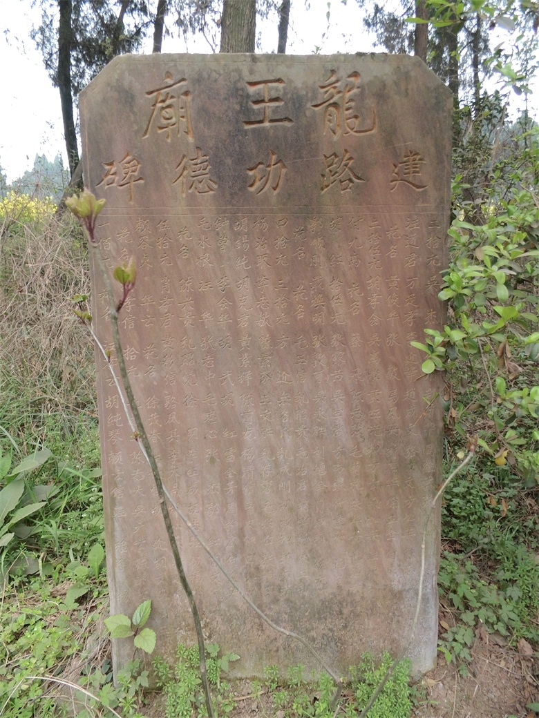 DSCI4555.jpg