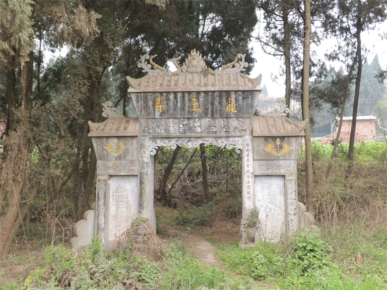 DSCI4560.jpg