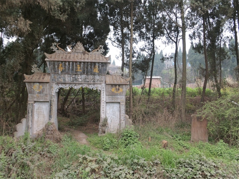 DSCI4559.jpg
