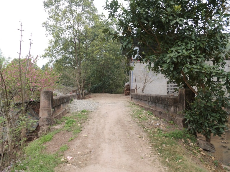 DSCI4561.jpg
