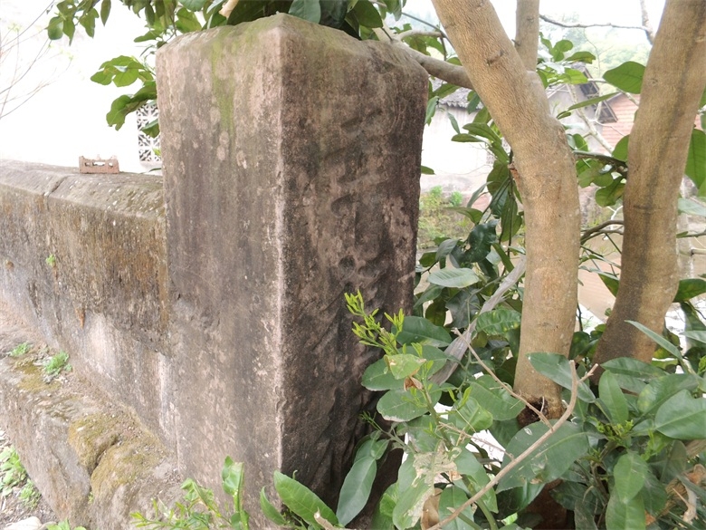DSCI4563.jpg