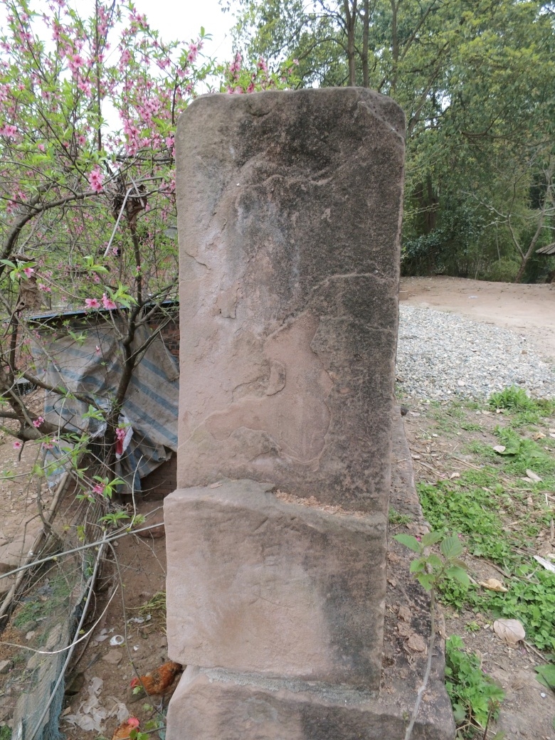 DSCI4564.jpg
