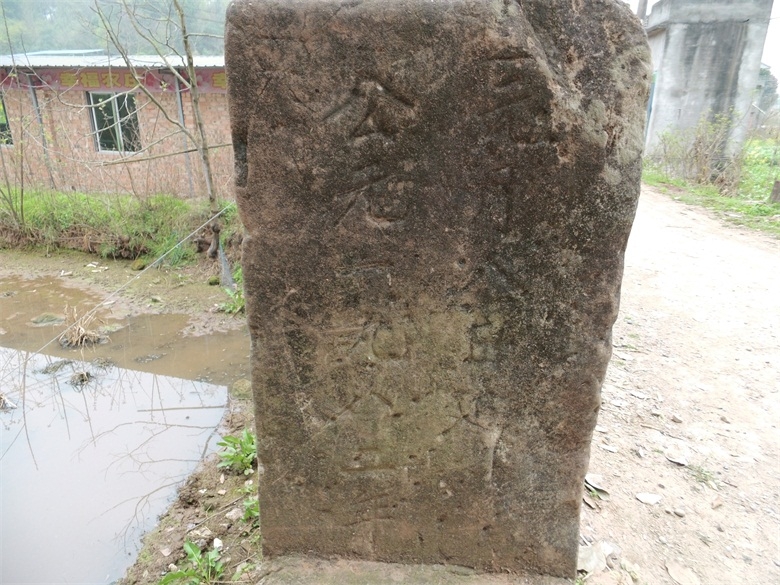 DSCI4565.jpg