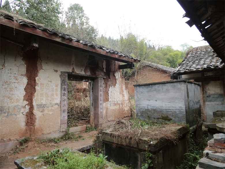 DSCI4574.jpg