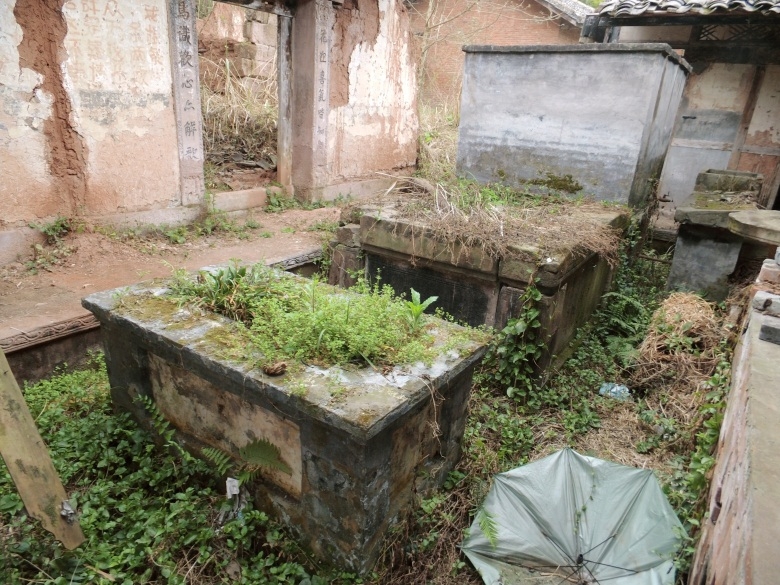 DSCI4590.jpg