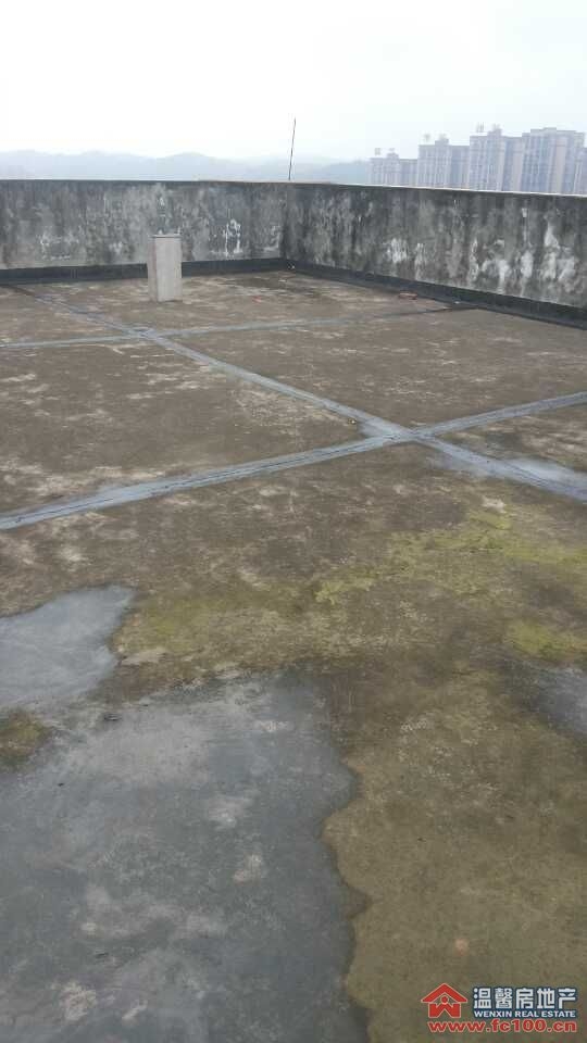 2014030553060773.jpg