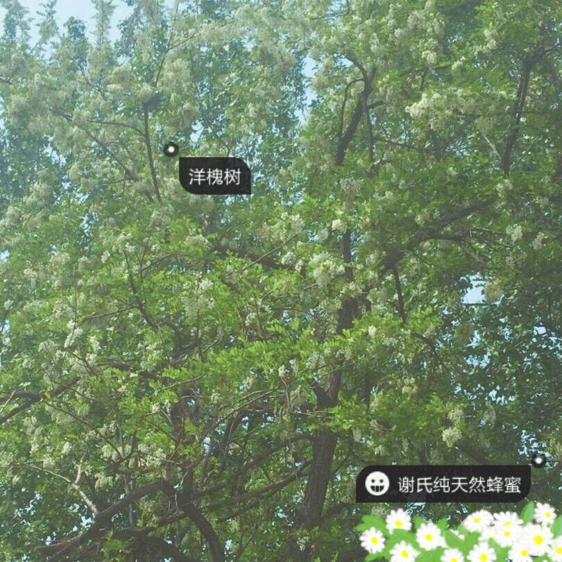 175914e0pxhf2fyfbmfqxq.jpg