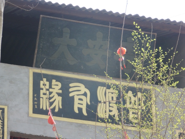 DSCI4502.jpg