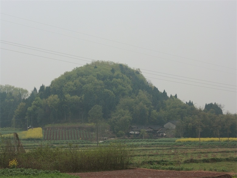 DSCI4631.jpg