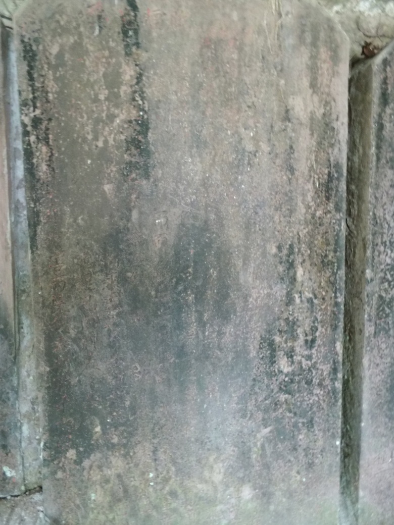 DSCI4643.jpg