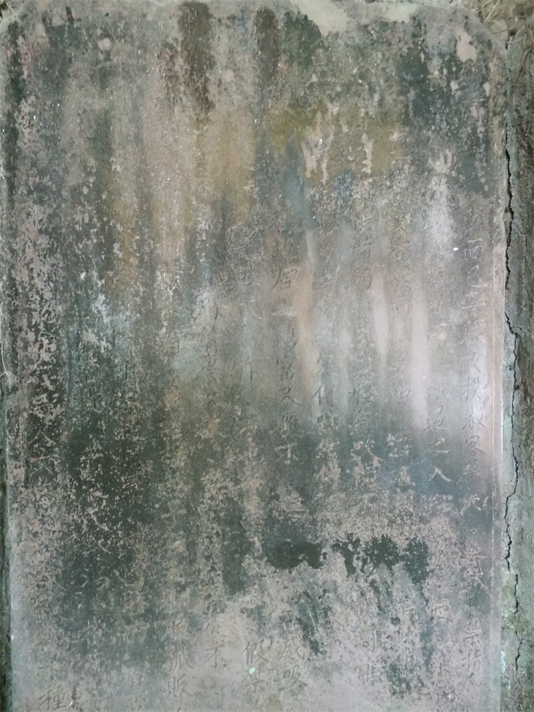 DSCI4644.jpg