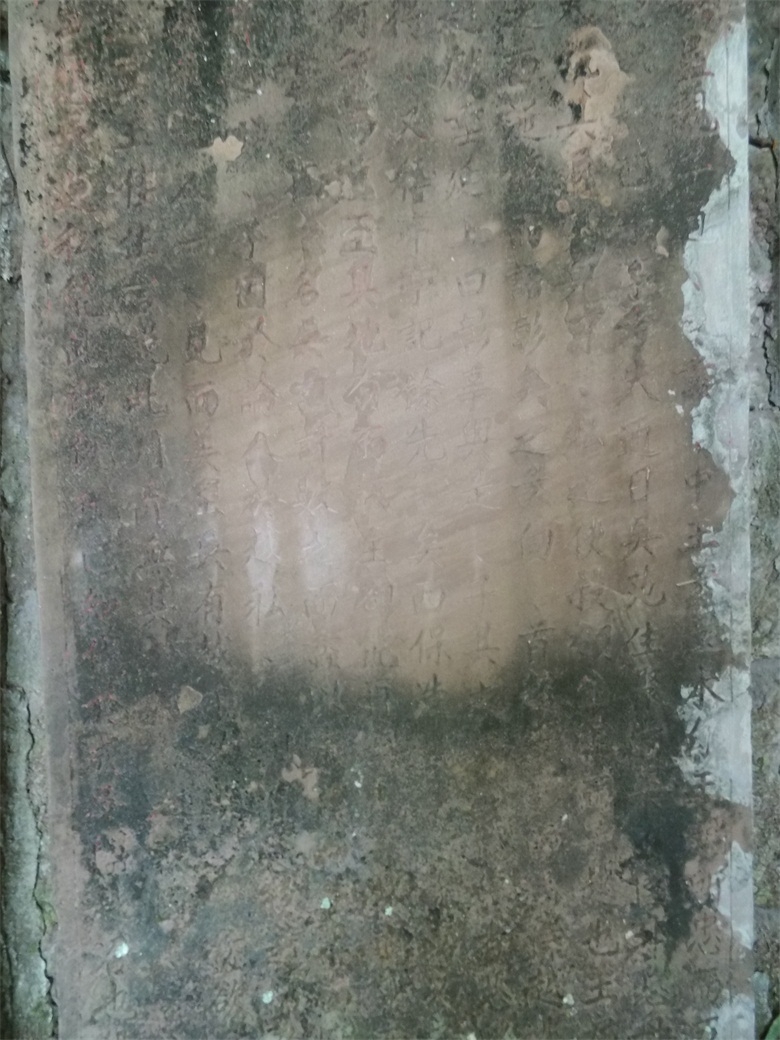 DSCI4645.jpg