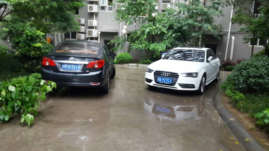 155001oycwqmqcfyyy319x.jpg