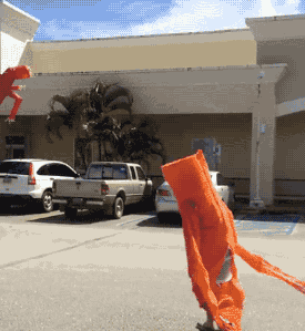 a284a161gw1f4tezw7kplg207n08bu0x.gif