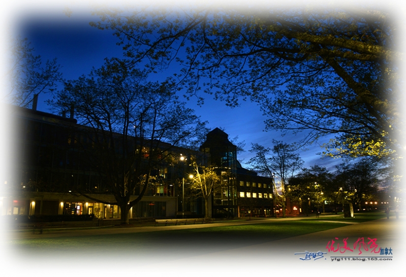 DSC_6594.JPG