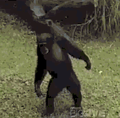 6a14bdb4gw1f4cjjky6fbg204w04s4of.gif