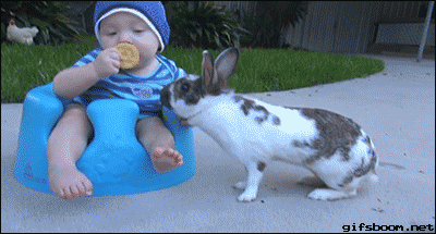 939c19fdjw1f315o2l9geg20b405zx6p.gif