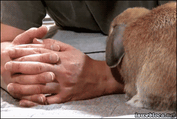 939c19fdjw1f315ofmobdg209q06ku0x.gif