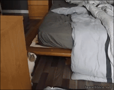 939c19fdjw1f315pjiaxgg20b408vx6p.gif