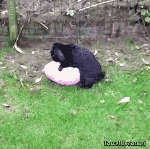 939c19fdjw1f315pmae2xg208c08bx6p.gif