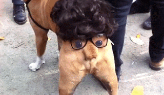 891fe3ddjw1f3zli6js5kg208w057b2b.gif