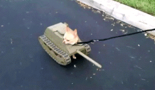 891fe3ddjw1f3zli7tt1rg208w057b2a.gif