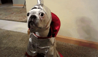 891fe3ddjw1f3zli97b8sg208w057kjn.gif
