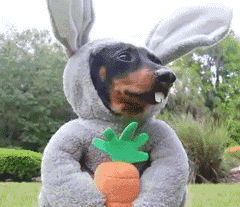 891fe3ddjw1f3zlian3f1g206o05rkjn.gif