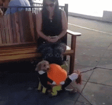 891fe3ddjw1f3zliaxsu3g206405pkjn.gif