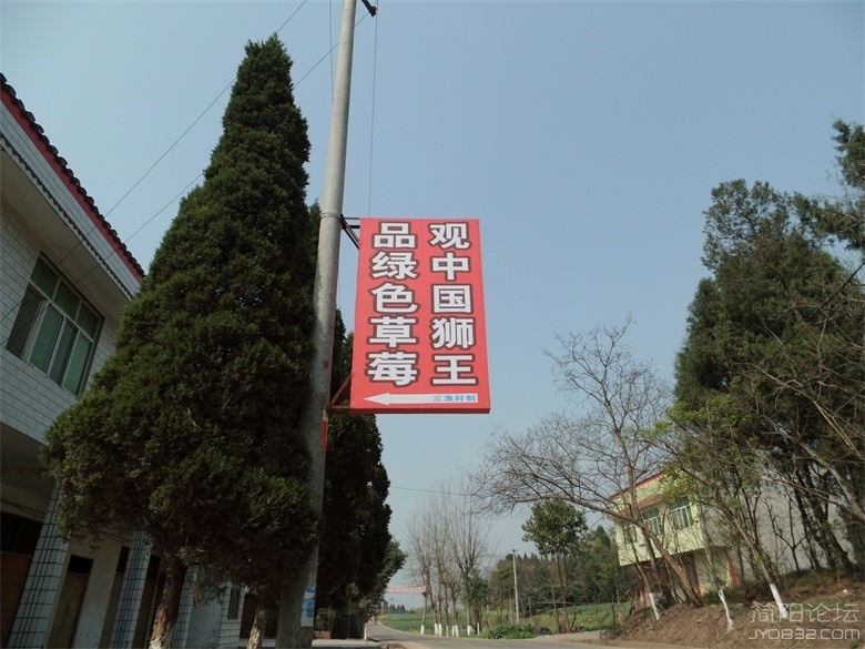 DSCI4503.jpg