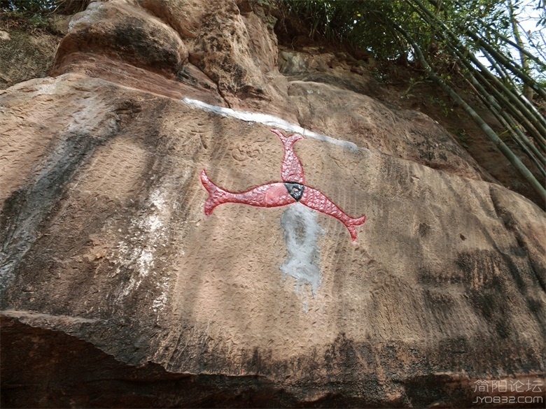 DSCI4505.jpg