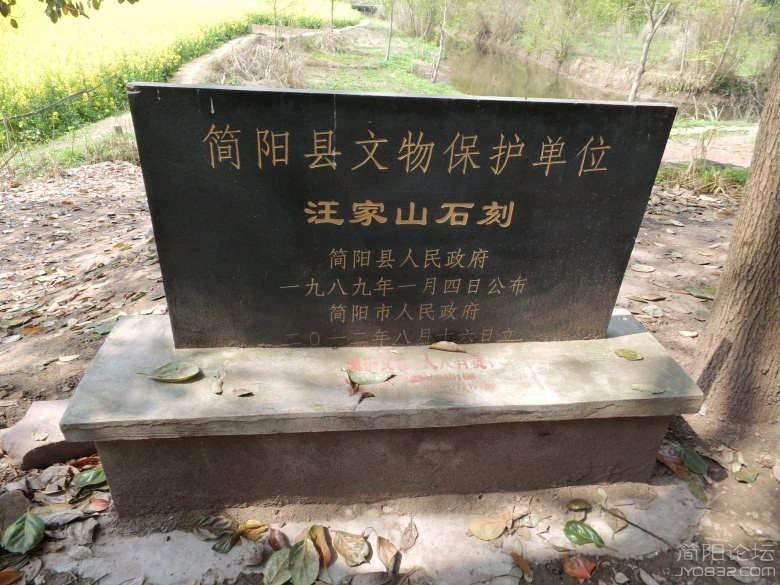 DSCI4521.jpg